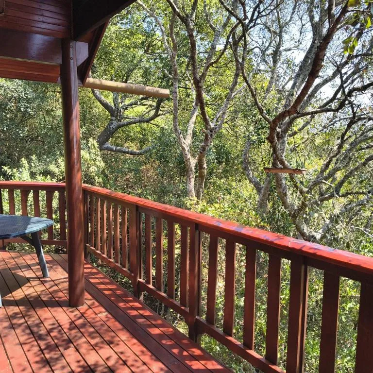 Wooden deck with red railing overlooking lush forest canopy trees