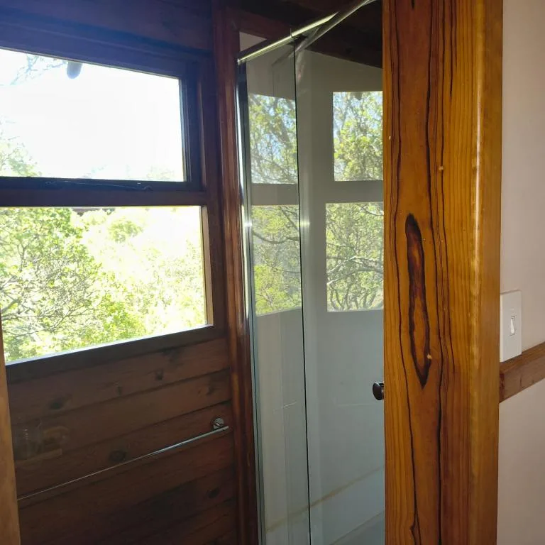 Wooden door frame with glass shower enclosure and forest view windows