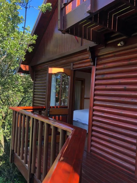 Modern corrugated metal cabin with wooden deck and railing among trees