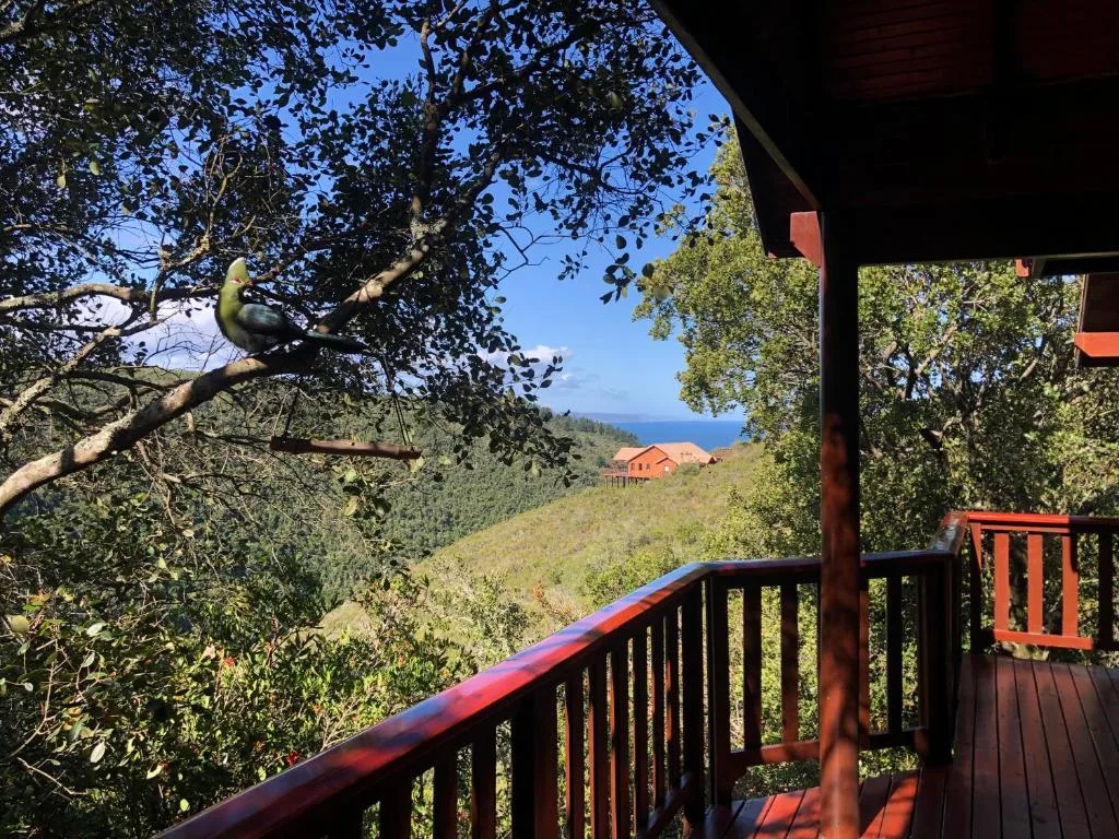 Ocean and mountain vista from wooden deck with forested slopes below