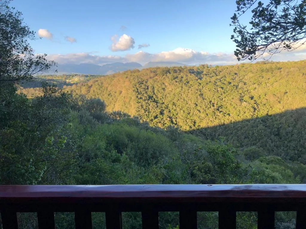 Sweeping forested valley and mountain landscape under blue sky