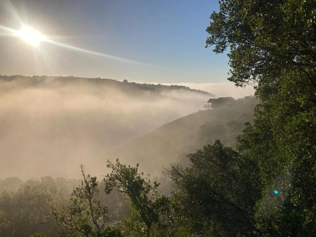 Misty valley landscape with forested hills and morning sunlight breaking through clouds