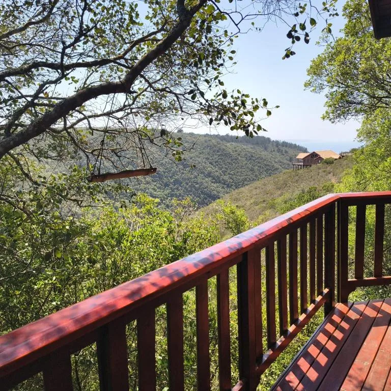 Forested hillside landscape visible from property deck railing