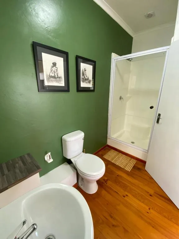 Bathroom with green walls, white toilet, shower enclosure, and wooden flooring