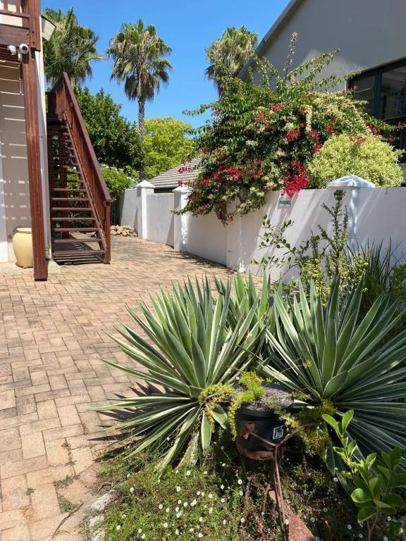 Property entrance with palm trees, flowering bougainvillea, and brick patio area