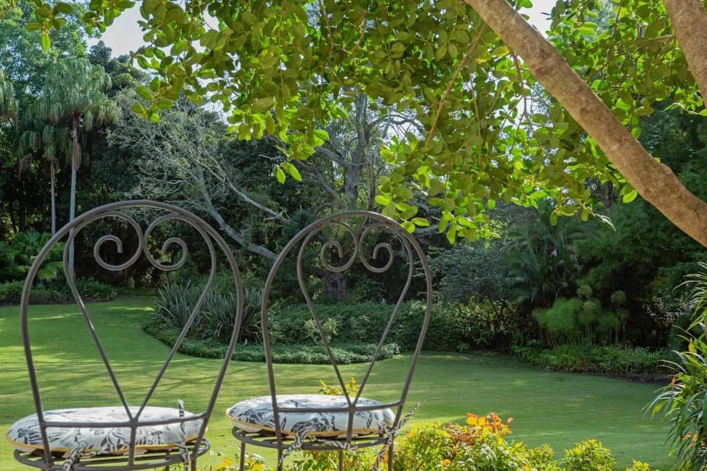 Ornamental garden chairs on manicured lawn with lush green surroundings
