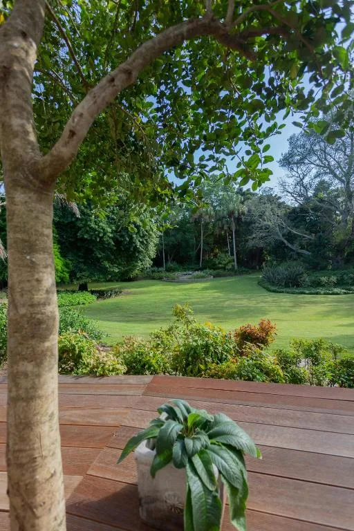 Wooden deck with potted plant overlooking manicured garden lawn