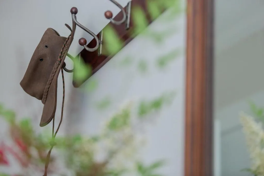 Close-up of decorative wall hooks with ornamental spheres and leather accents
