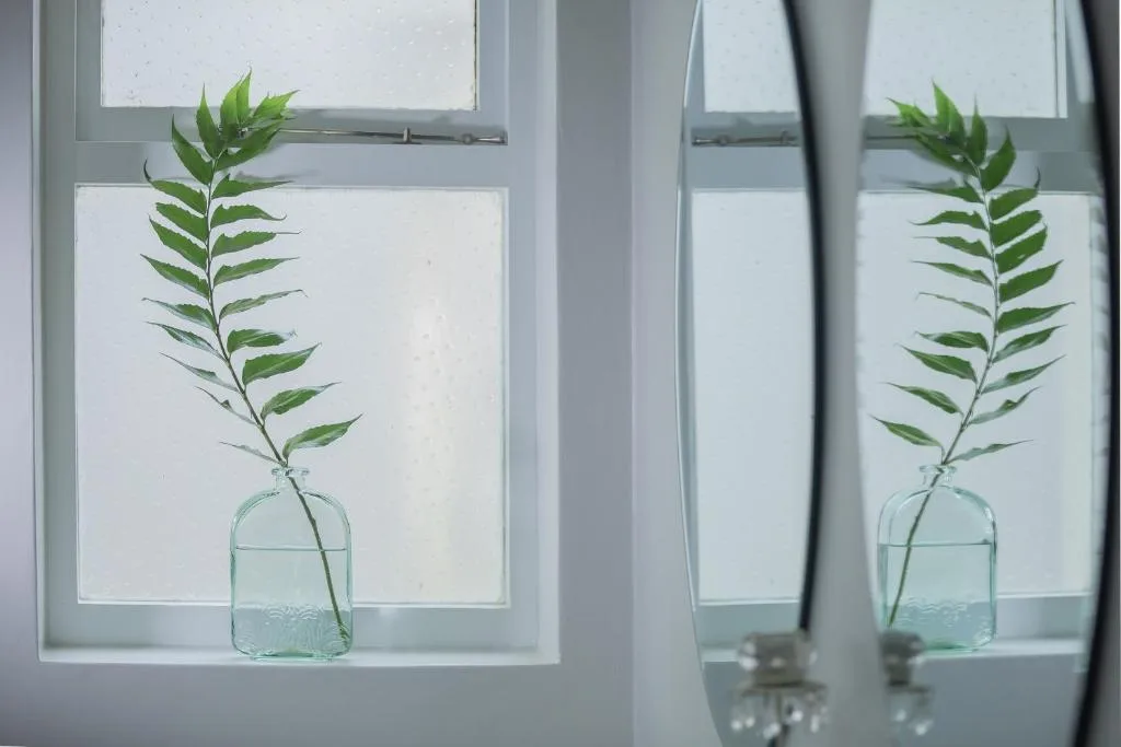 Fresh green fern stems in glass vases displayed on windowsill