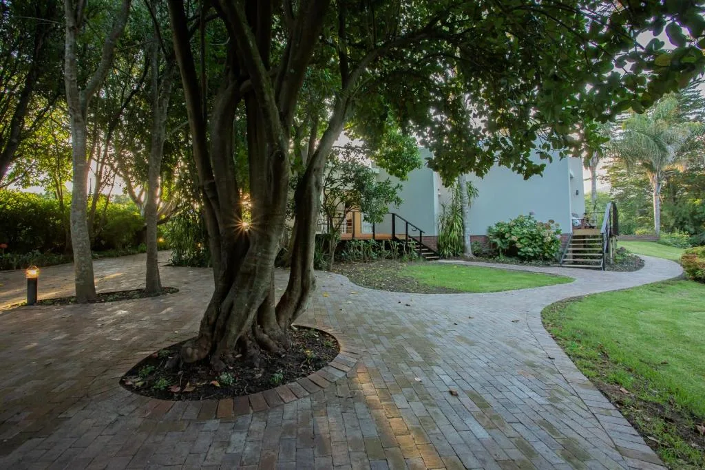 Curved paved pathway lined with mature trees leading to guest house entrance