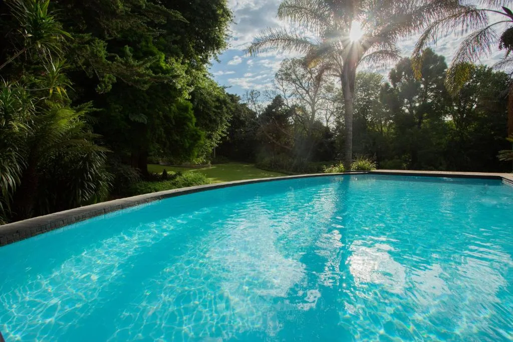 Crystal clear turquoise swimming pool surrounded by lush tropical gardens and palm trees
