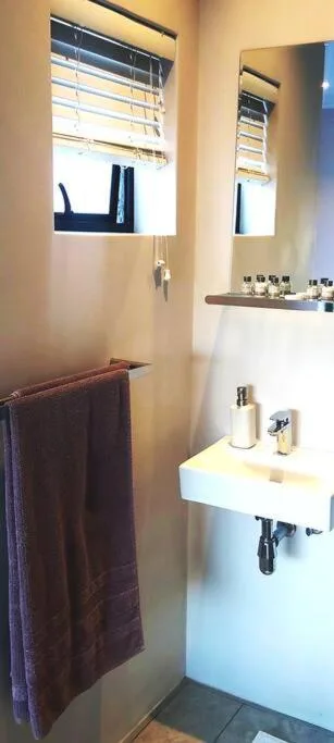 Modern bathroom sink with mirror, towel rail, and window with blinds