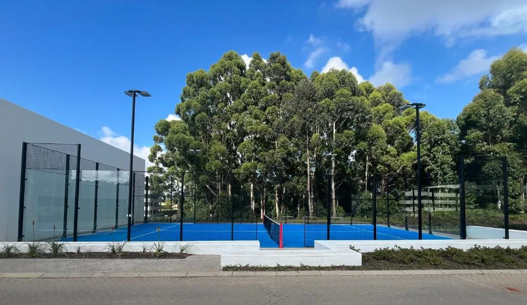 Modern blue sports court with surrounding facilities and tall trees