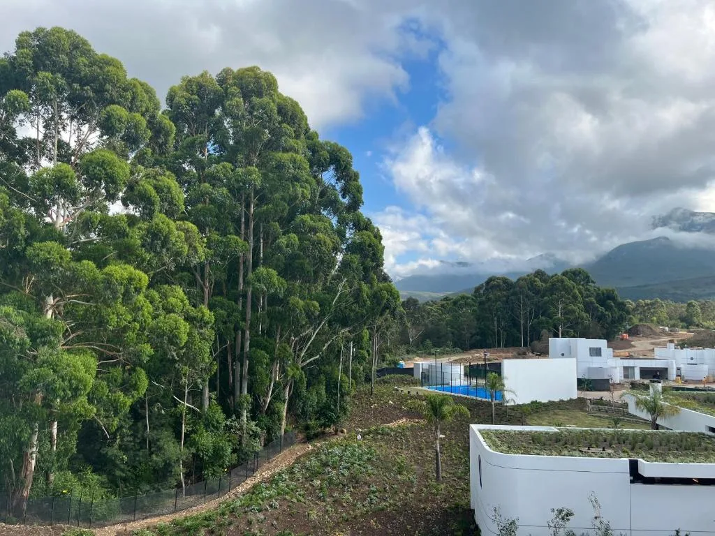 Scenic mountain vista with lush forest and distant peaks beyond property