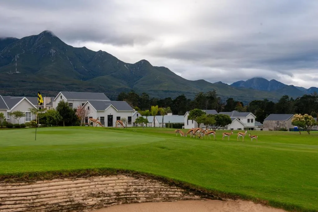 White Cape Dutch cottages on manicured grounds with mountain backdrop and wildlife