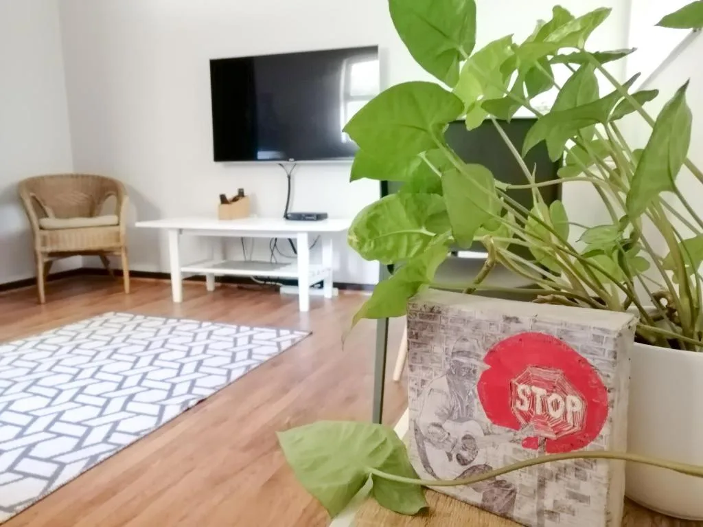 Modern lounge with wall-mounted TV, wicker chair, and potted plants