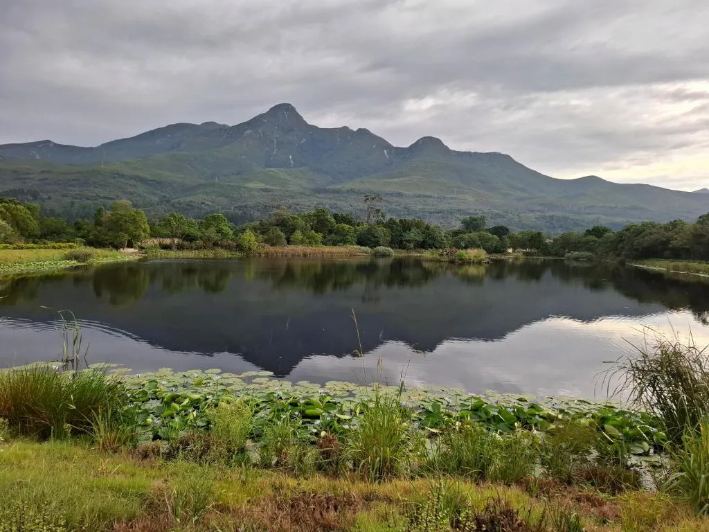 Mountain landscape reflected in still lagoon water, lush vegetation surrounding