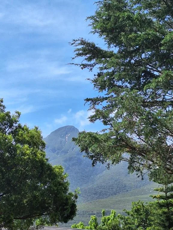 Mountain landscape visible through trees from property grounds