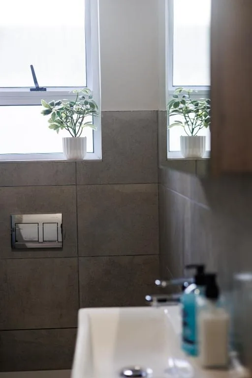 Modern bathroom with dark tile walls, window with potted plants, and sink vanity