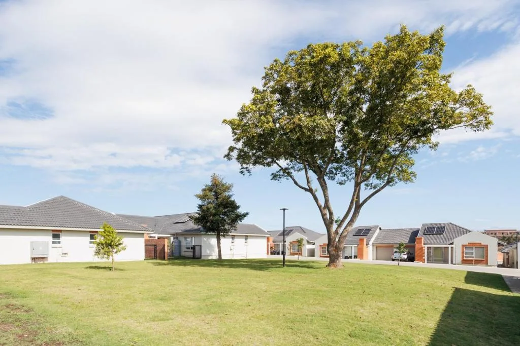 Modern townhouse complex with manicured lawn and mature tree