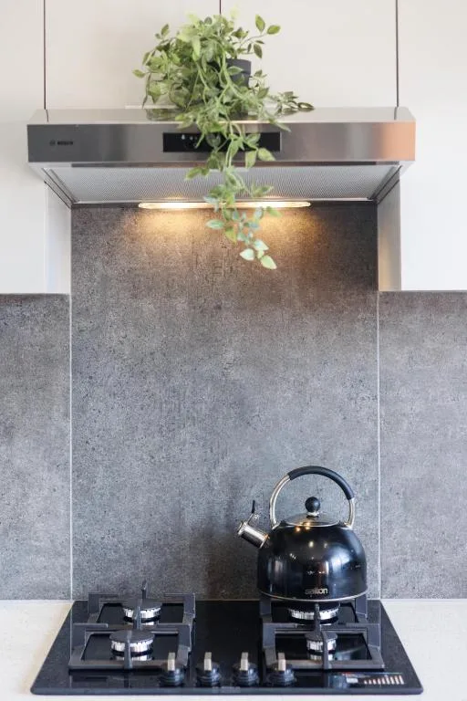 Modern kitchen stovetop with kettle and hanging plant decoration