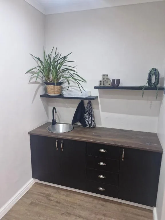 Black cabinet with wooden countertop and decorative shelving with potted plants