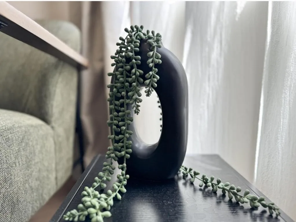 Trailing succulent plant in black ceramic pot on windowsill