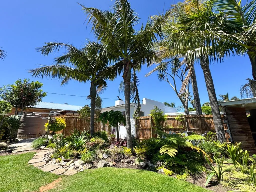 Modern white holiday home with lush tropical garden and tall palm trees surrounding property
