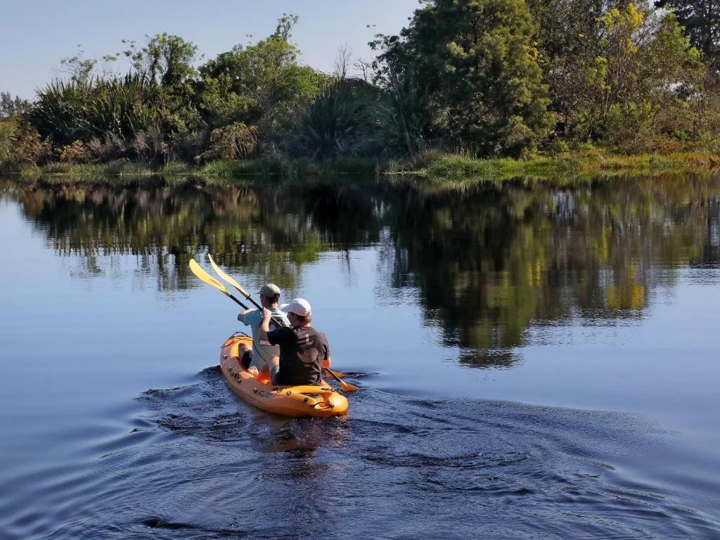 Kayakers paddling on calm lagoon with lush vegetation reflections