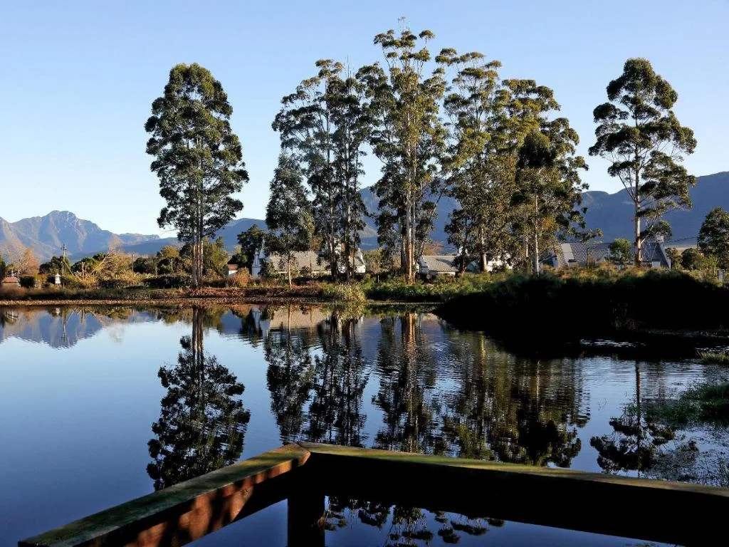 Serene lagoon view with tall trees and distant mountains under clear sky